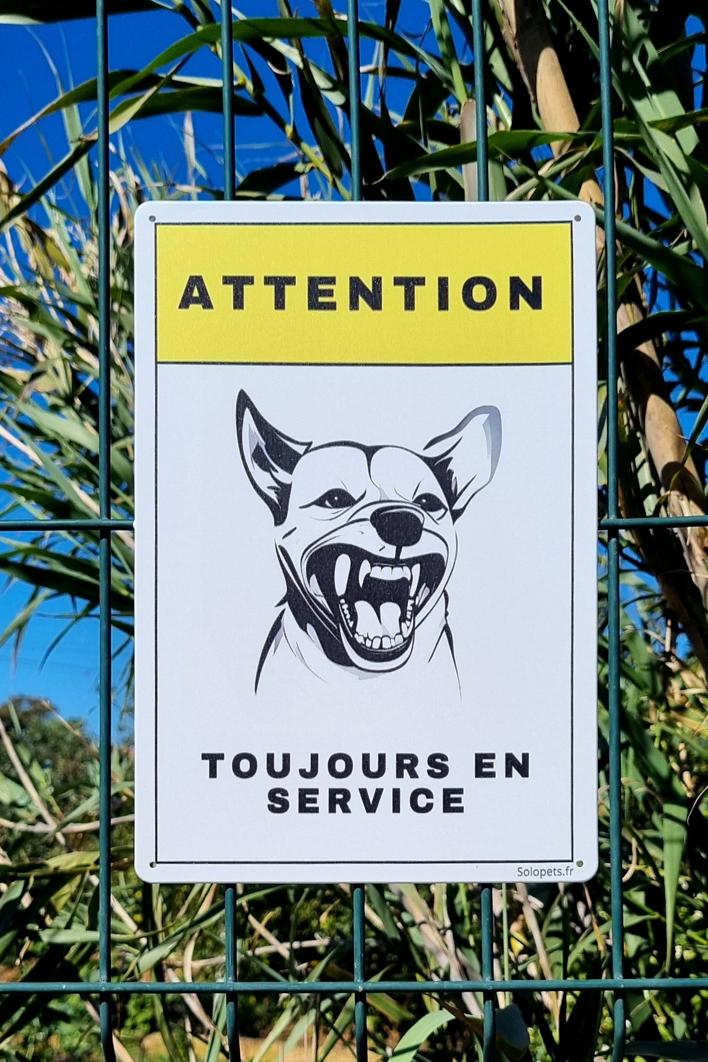 Plaque ''Molosse''-FR
